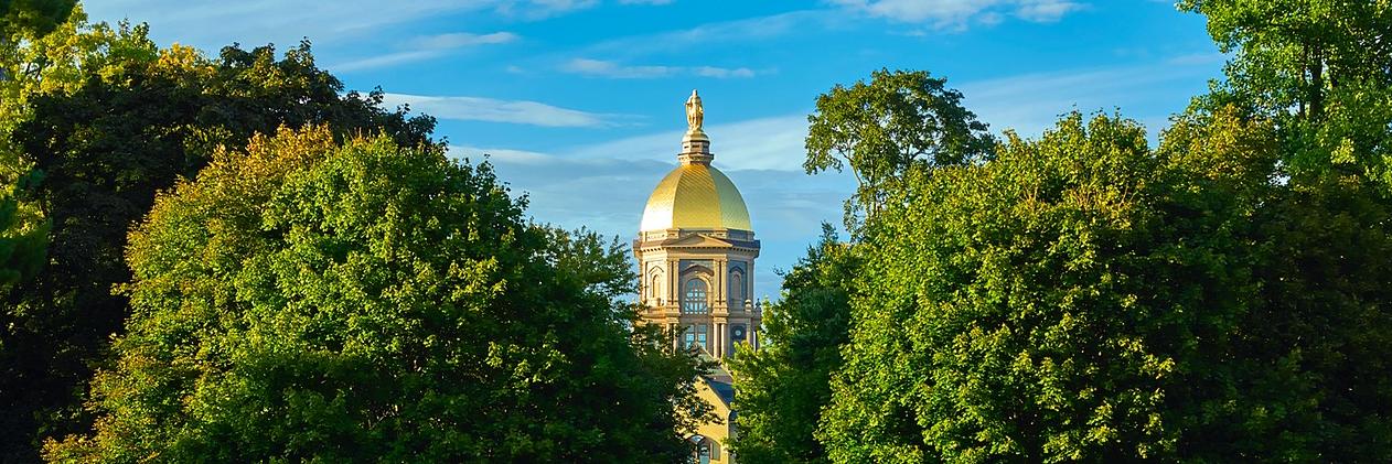 NDStuGov's profile banner image