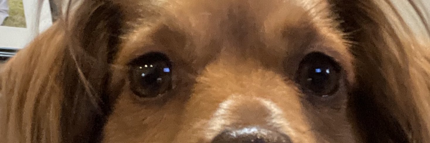 heythereitsla's profile banner image