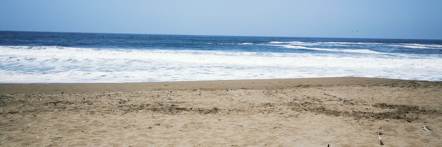 rochi_bp's profile banner image