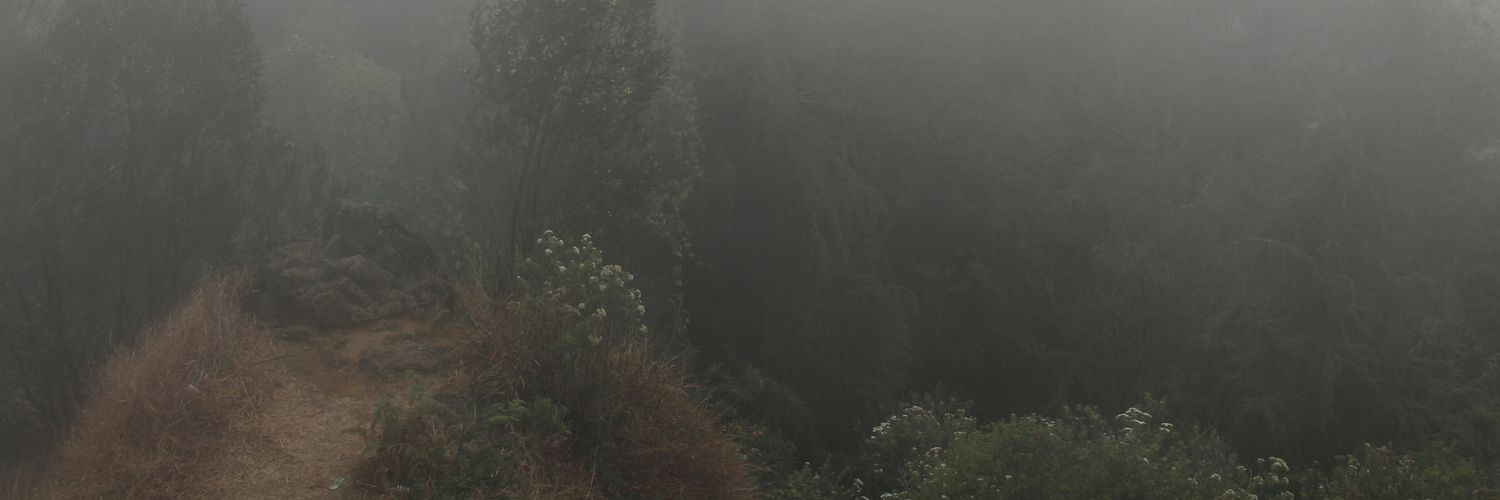 msyfhh's profile banner image