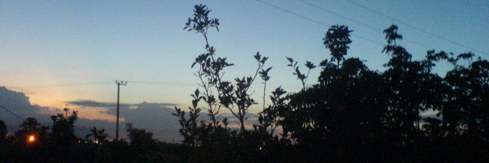 Alex Venado C. banner