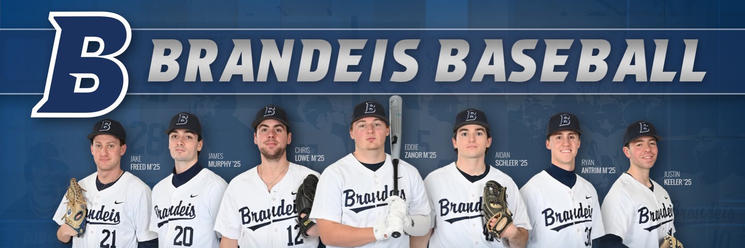 Brandeis University Baseball banner