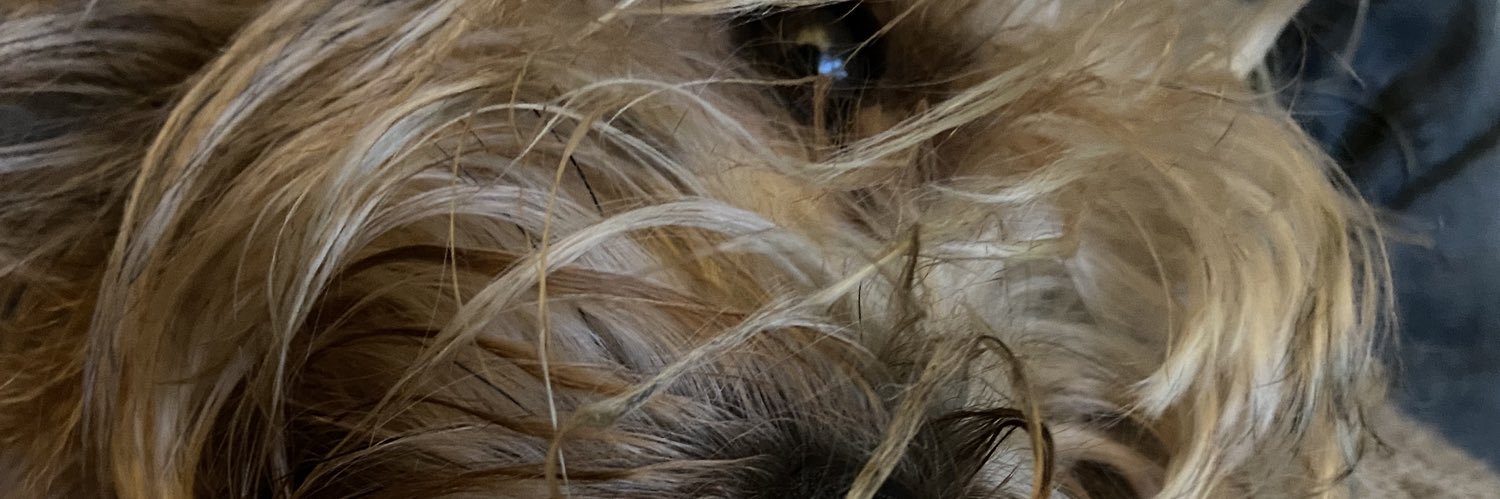 Sue Maxwell💙 banner