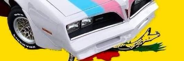 RayningAmmo Profile Banner