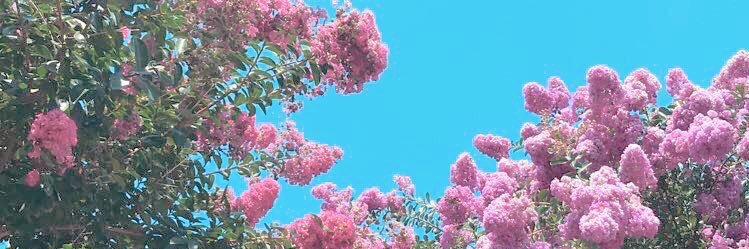 baylor_tarto's profile banner image