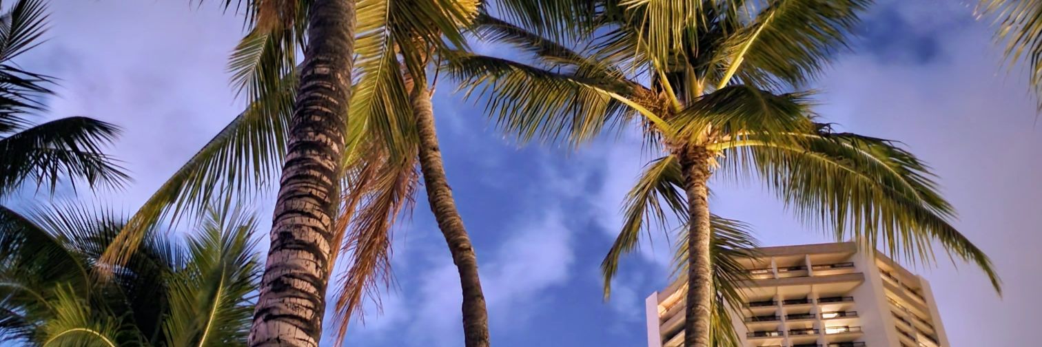 Moze67's profile banner image