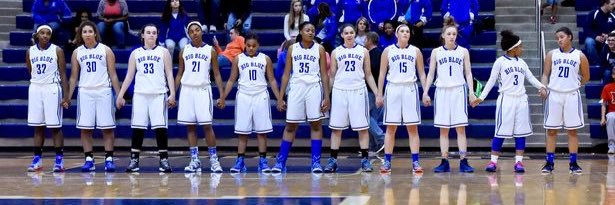Hamilton Girls Hoops banner