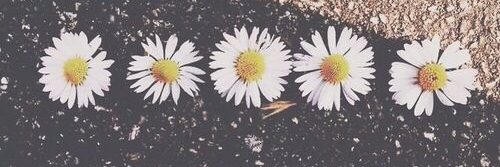 libbygill93's profile banner image