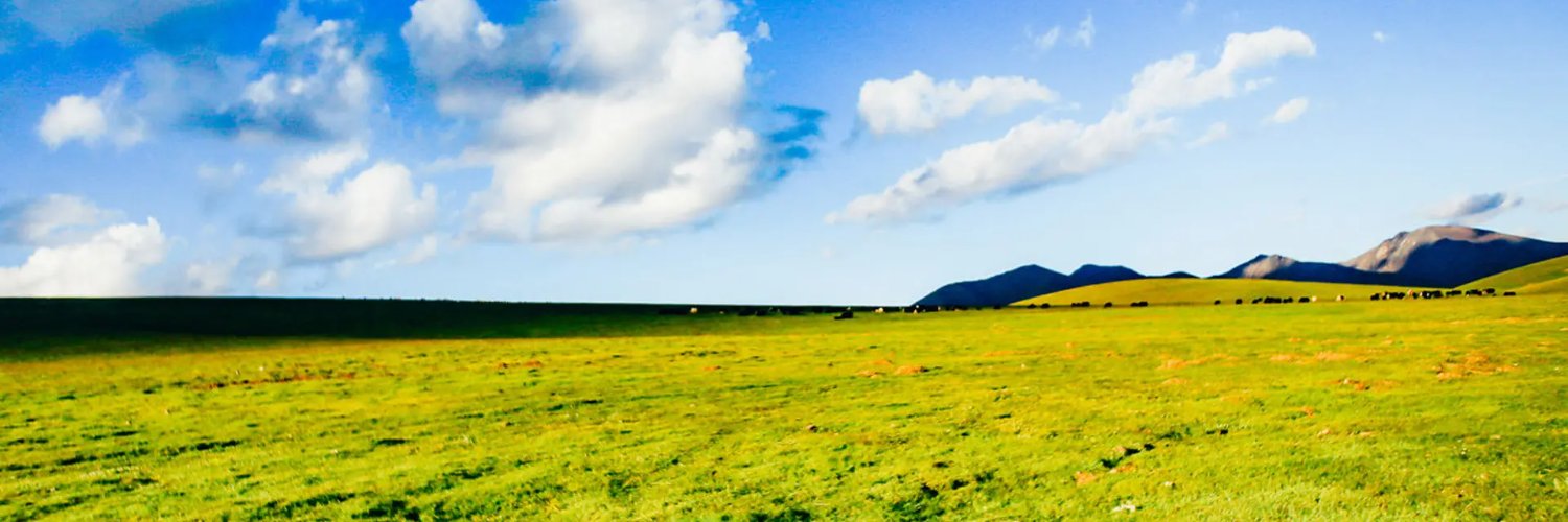 lyra_elfi's profile banner image