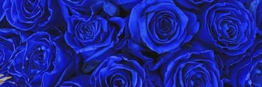 bossrozzay's profile banner image