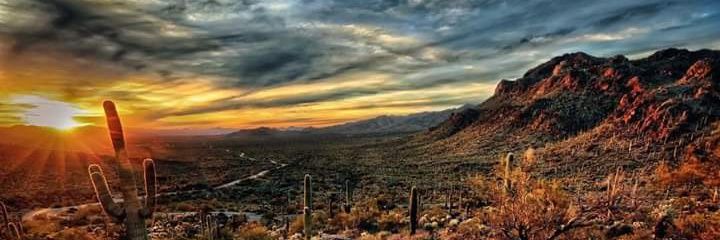 _PhxGirl23's profile banner image