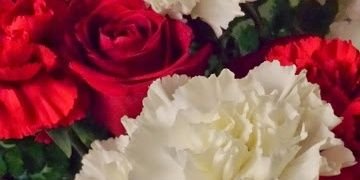 MMM______'s profile banner image
