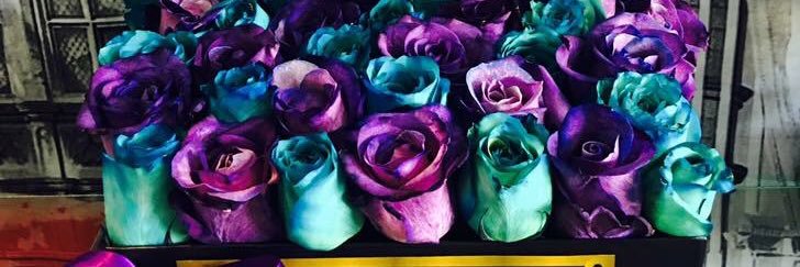 PauHuling's profile banner image