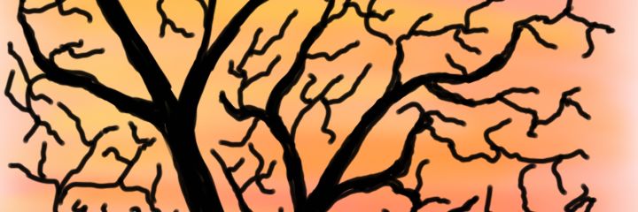_TimTimi's profile banner image