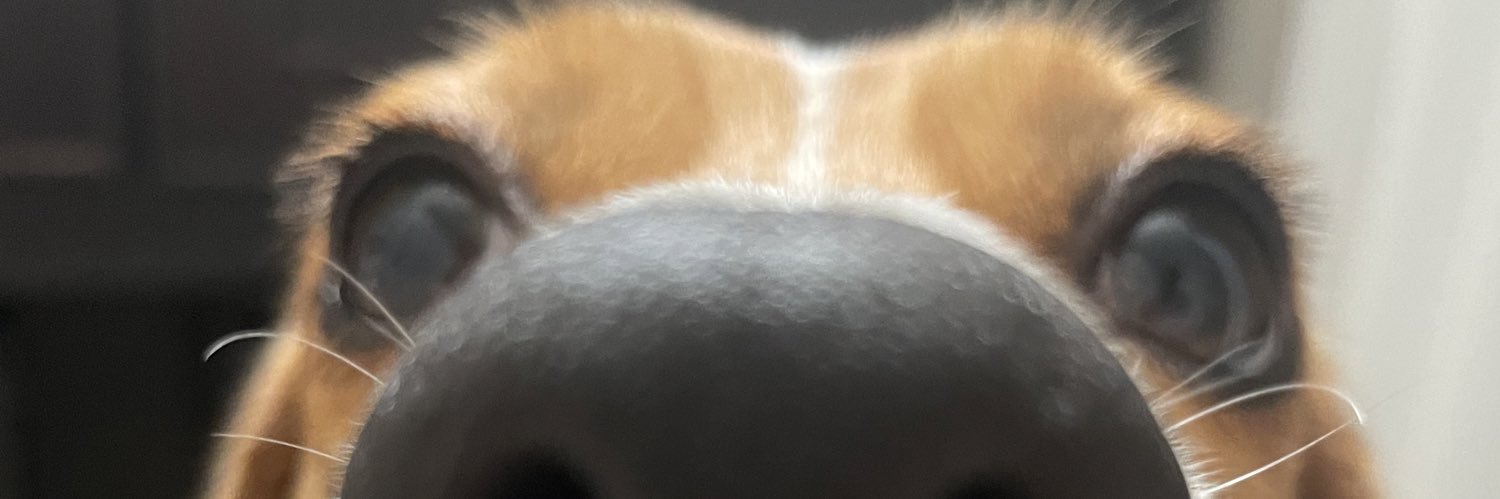 _amckeel's profile banner image