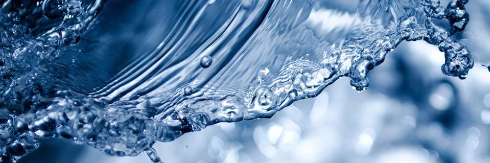 Dr. Katie Marks-Cogan banner