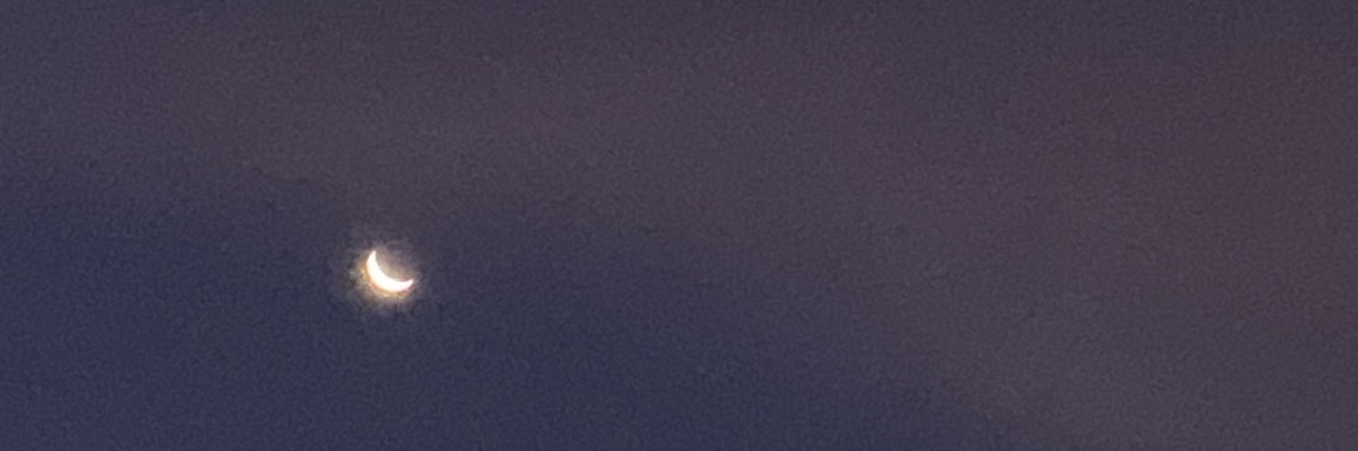 Dz347's profile banner image