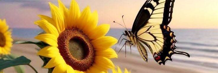 ANLMTA's profile banner image