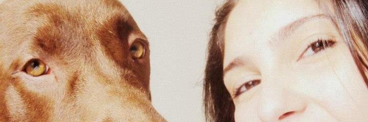 clau_loki's profile banner image