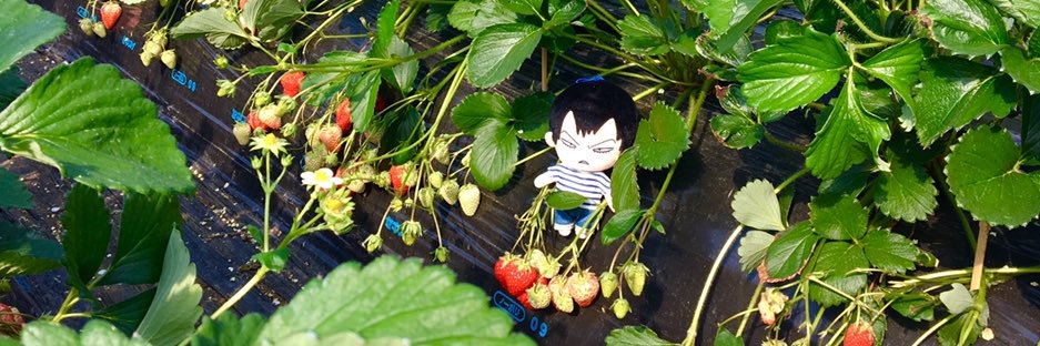 さっ banner
