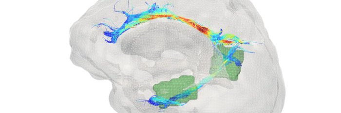 DicksonW11's profile banner image