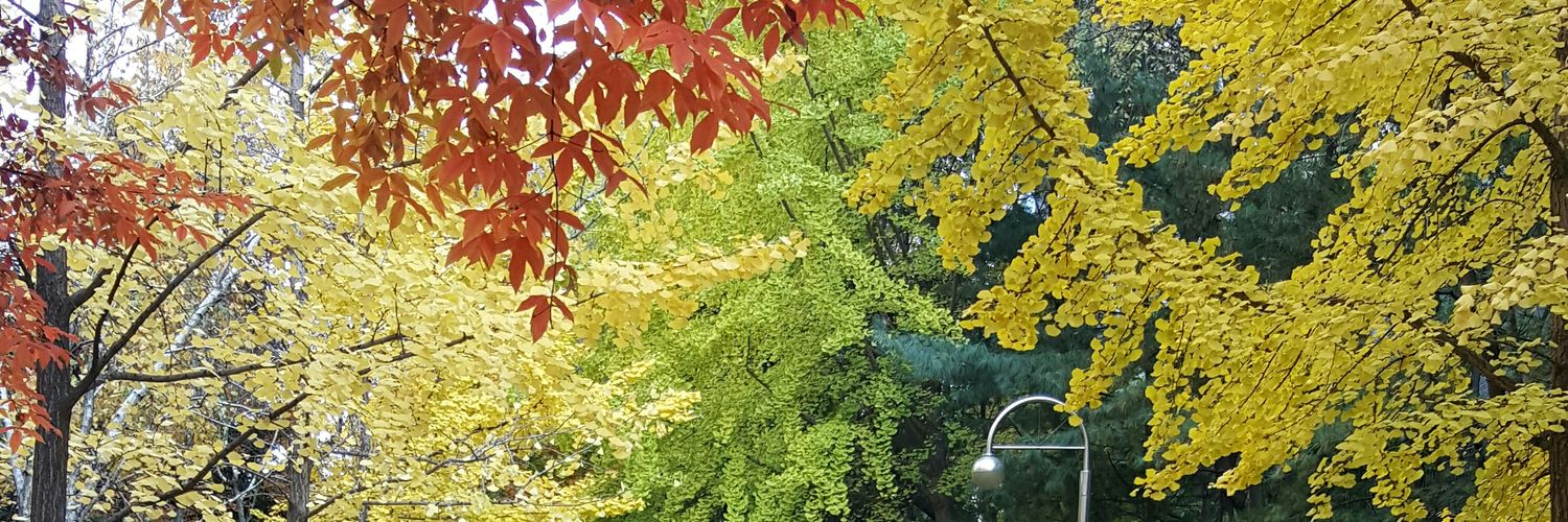 pnh700's profile banner image