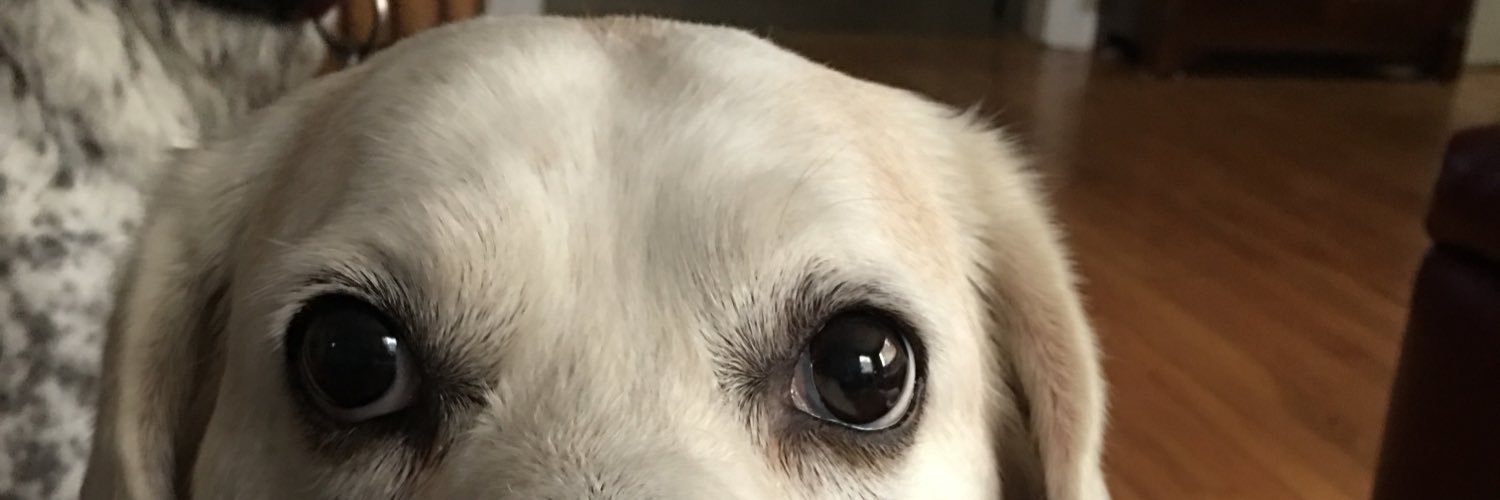 TheOnlySDC's profile banner image