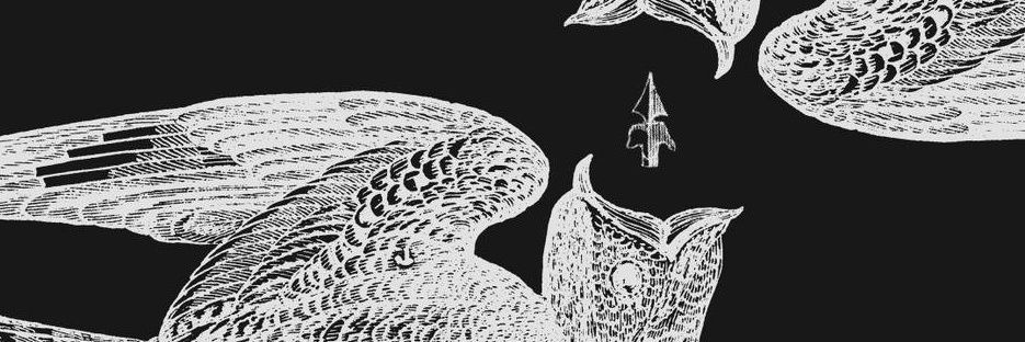 MiniVenganzas's profile banner image