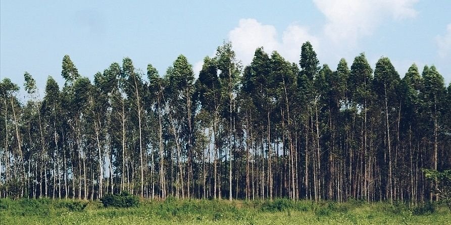 JayPennant's profile banner image