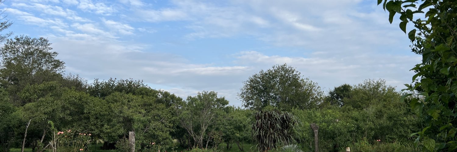 LuCalvimonte's profile banner image