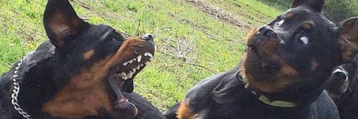 Internet Explorer banner