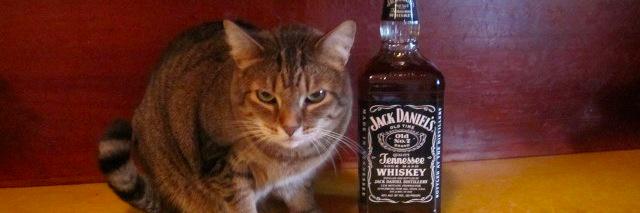 katwhiskey's profile banner image