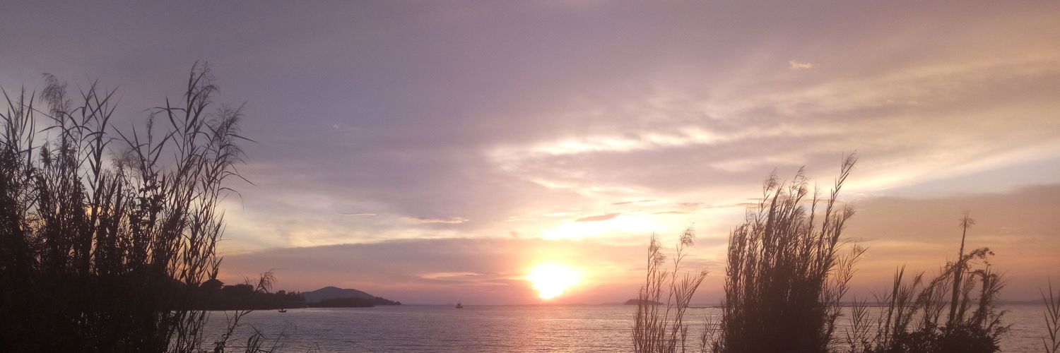 fombwara's profile banner image