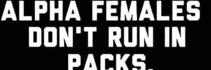 JulieHarris05's profile banner image
