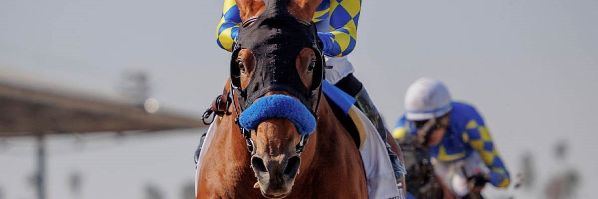 ThoroGraphPLUS banner