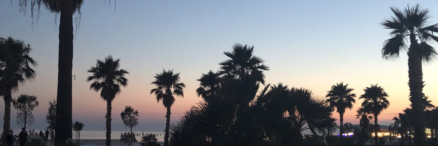 viiiche's profile banner image