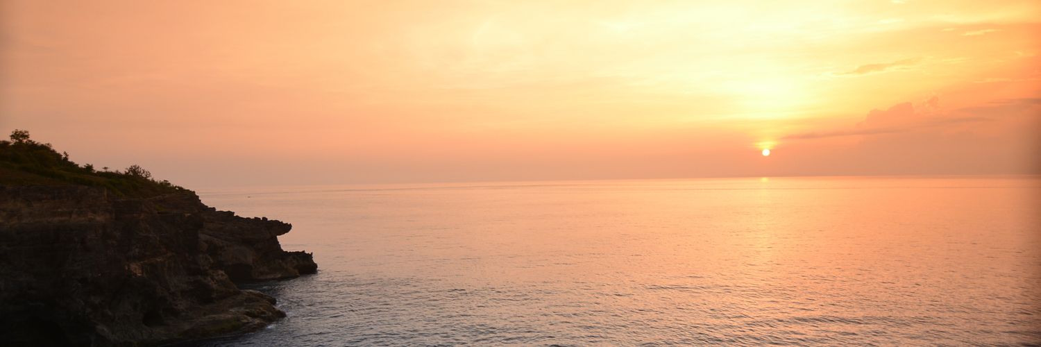 zharaoctavia's profile banner image