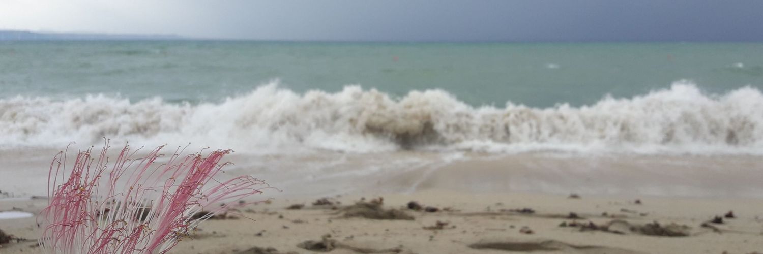 karrizasept's profile banner image