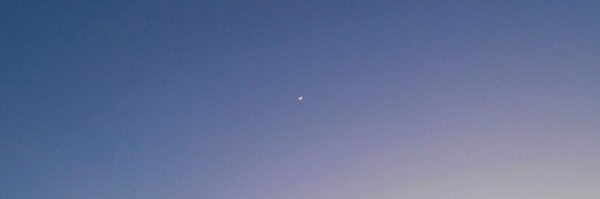 wentolia Profile Banner