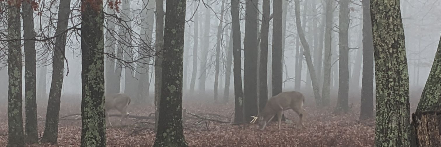 ReinierCorciga's profile banner image