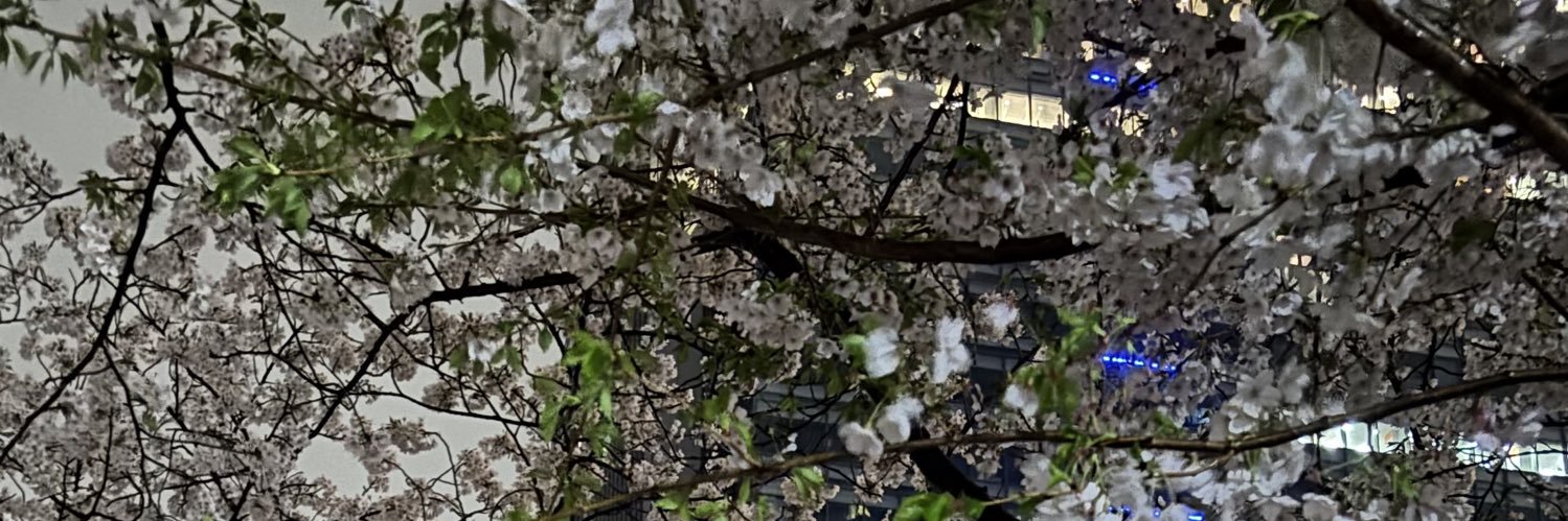 sws_hh's profile banner image