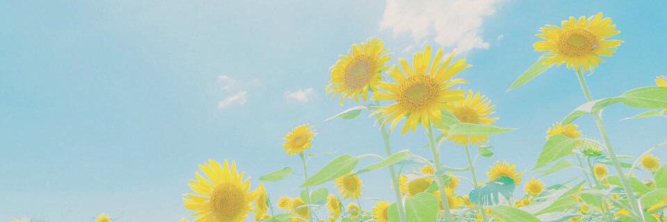 tg__13_'s profile banner image