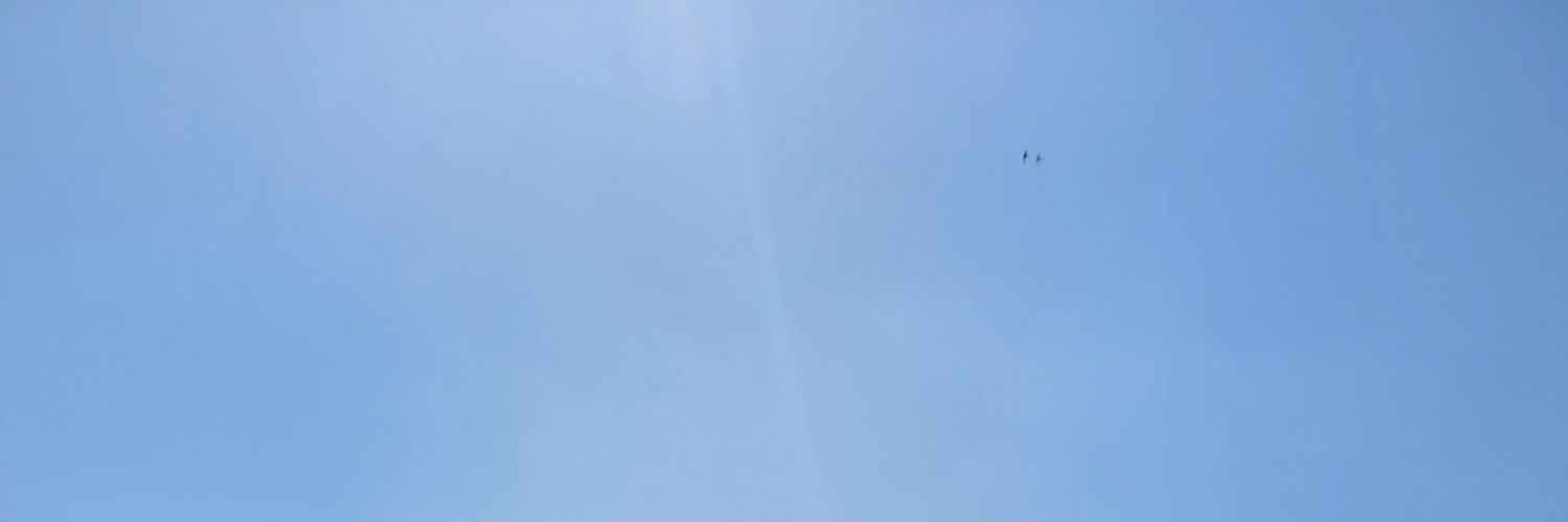 딘타 banner