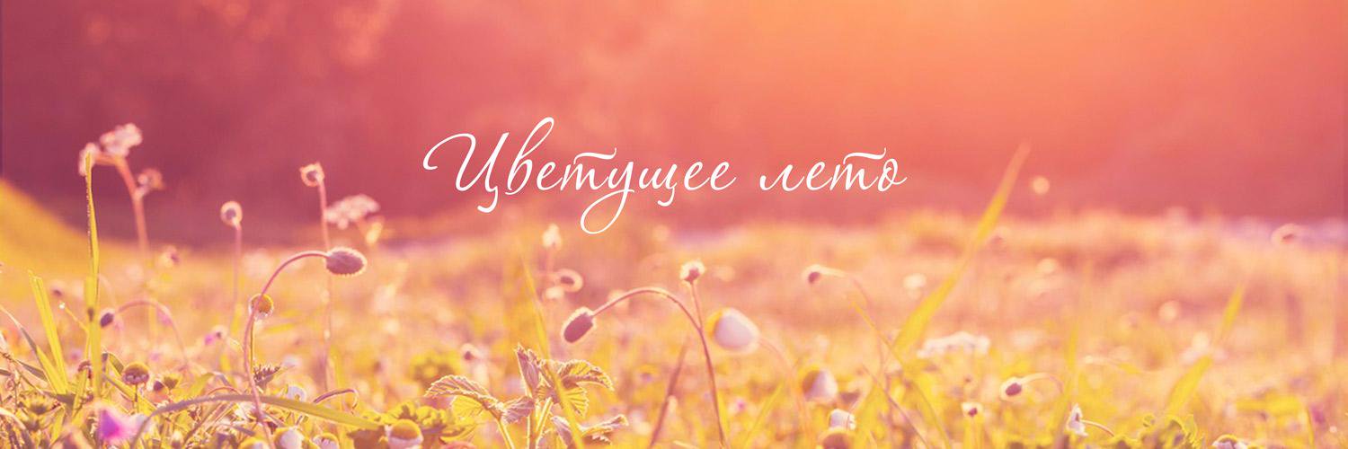 yuterra's profile banner image