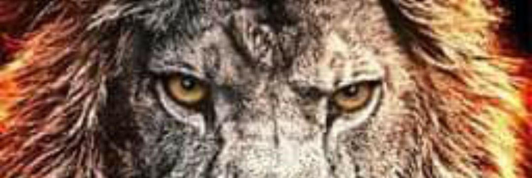 dcmak72's profile banner image