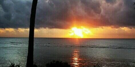 cathy_chemas's profile banner image