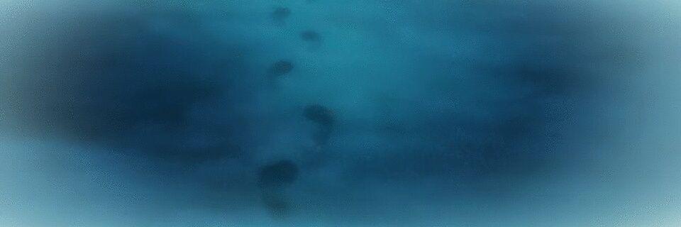 omi___________x's profile banner image