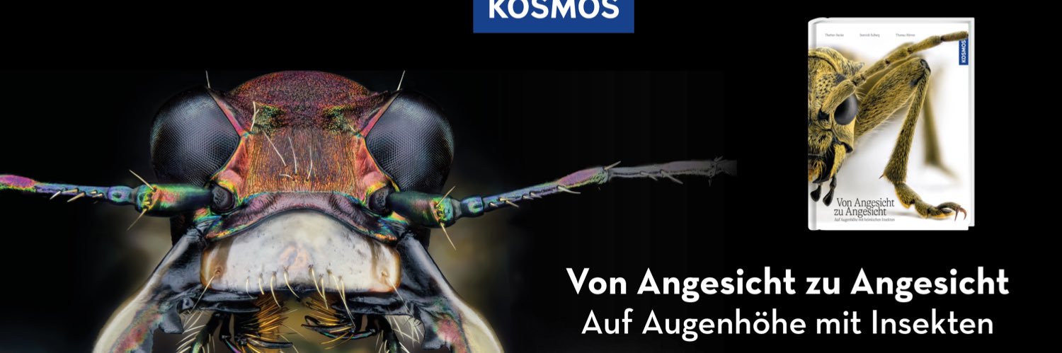 dominikeulberg's profile banner image
