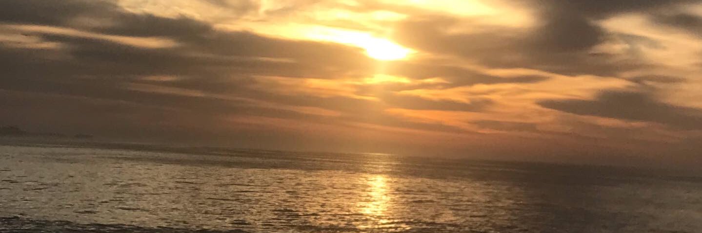 CynthiaNaomi7's profile banner image