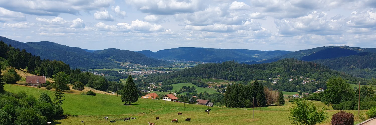 JLPierrel's profile banner image